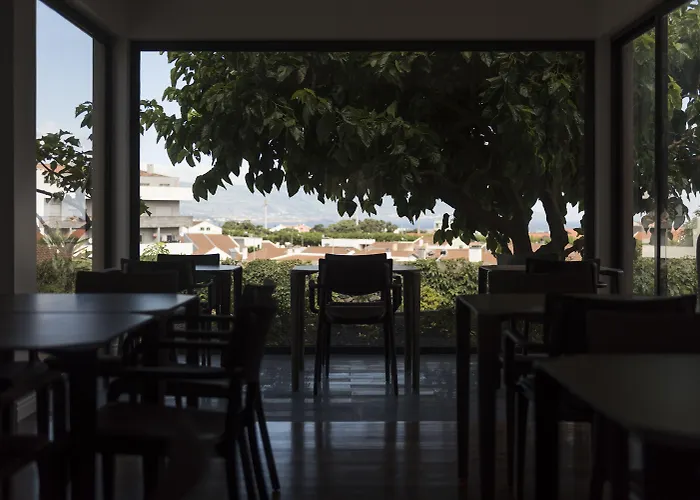 Volcanic Charming House